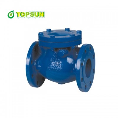 ANSI 125 150 ductile iron epoxy swing type check valve